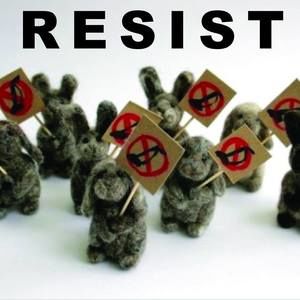 Meet your Posher, Alisa